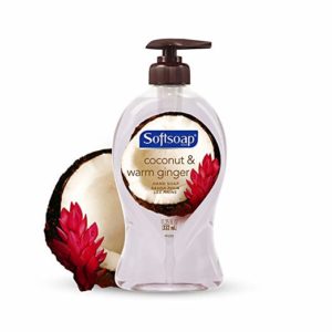 Softsoap Liquid Hand Soap, Coconut and Warm Ginger - 11.25 fluid ounce (6 Pack)
