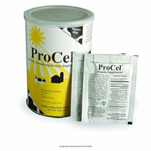 ProCel Protein Supplement, Procel W Whey 10 oz Pwdr, (1 EACH, 1 EACH)