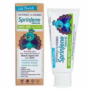 SprinJene Natural Kids Cavity Protection Toothpaste, Apple-Mint