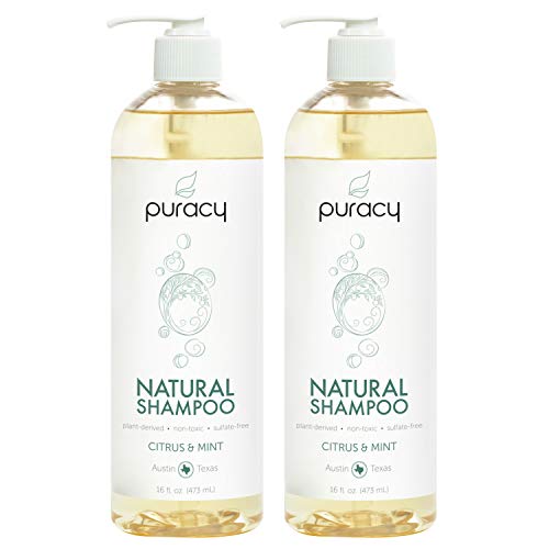 Puracy Natural Daily Shampoo, New Sulfate-Free Formula, All Hair Types, 16 Ounce (2-Pack)