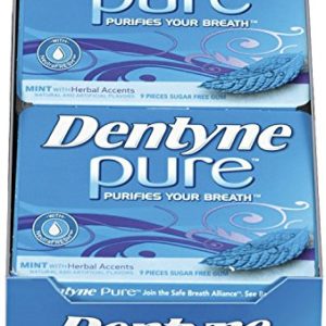 Dentyne Pure Sugar Free Gum (Mint with Herbal Accents 9 Piece Pack of 10)