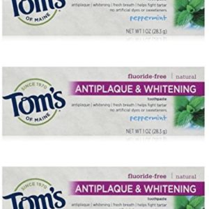 Tom's of Maine Natural Antiplaque Tartar Control & Whitening Toothpaste Peppermint 1 oz Travel Size (Pack of 3)