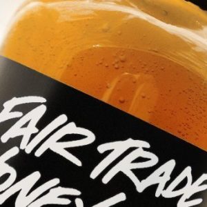 Lush Fairly Traded Honey Shampoo 3.3 Oz Lather up for Shiny, Lustrous Locks Made in Canada ~ Ships From Usa