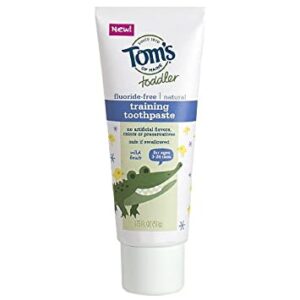 Tom's Of Maine Natural Toddler Training Fluoride Free Toothpaste Mild Fruit, 1.75 Ounce