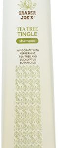 Trader Joe's Tea Tree Tingle Shampoo with Peppermint, Tea Tree and Eucalyptus Botanicals, 16-Ounces