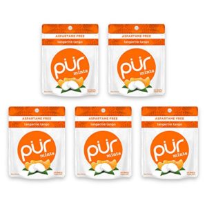 The PUR Company | Sugar-Free + Aspartame-Free Count | 100% Xylitol | Tangerine Tango | Vegan + non GMO | 20 Count per Bag (Pack of 5)