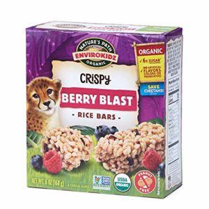Nature's Path EnviroKidz Berry Blast Crispy Rice Bars, Healthy, Organic, Gluten-Free, Peanut Free, 6 Ounce Box (Pack of 6)