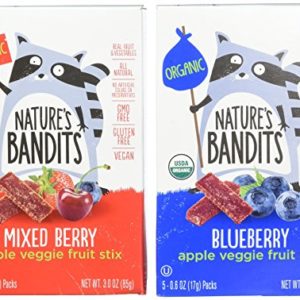 Nature's Bandits Organic Fruit & Veggie Stix, Variety Pack (Blueberry & Mixed Berry), 0.6 Ounce 5 Pack (2 Count) Gluten Free, Vegan, Kosher