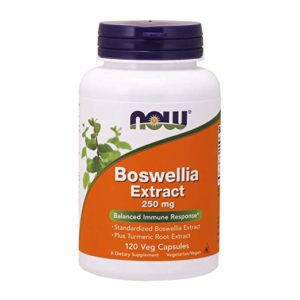 Now Supplements, Astragalus Extract 500 mg (Standardized to 70% Polysaccharides), 90 Veg Capsules