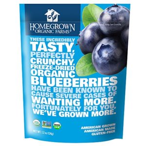 Freeze Dried Blueberry Snack by Homegrown Organic Farms - Organic Non-GMO Freeze-Dried Blueberry Chips - All-Natural Vegan Freeze Dried Fruit 1.2 oz