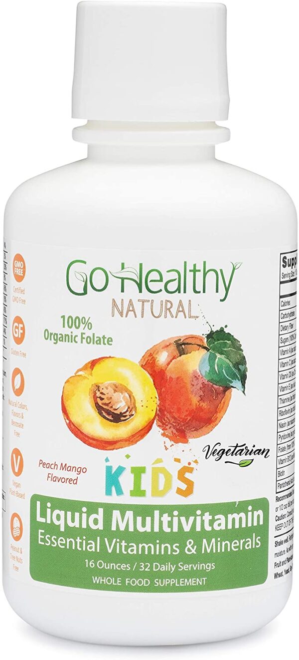 Go Healthy Natural Kids Liquid Multivitamin Organic Folate Vegetarian Plant-Based Whole Food